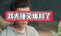 刘大锤最新爆料任敏漫画,刘大锤独家爆料揭秘幕后故事